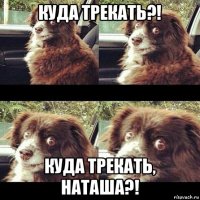 куда трекать?! куда трекать, наташа?!