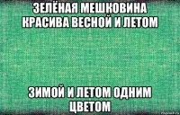 зелёная мешковина красива весной и летом зимой и летом одним цветом