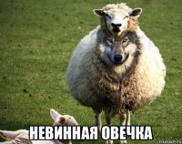  невинная овечка