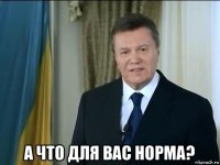  а что для вас норма?