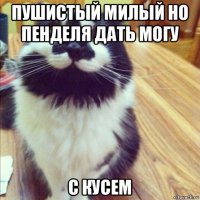 пушистый милый но пенделя дать могу с кусем