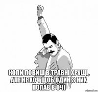  коли ловиш в травні хрущі, але не хоч щоб один з них попав в очі