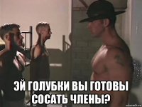  эй голубки вы готовы сосать члены?