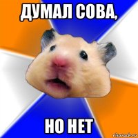 думал сова, но нет