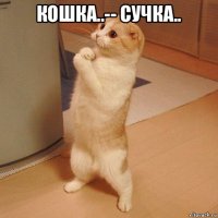 кошка..-- сучка.. 