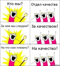 Кто мы? Отдел качества За чем мы следим? За качеством! На что нам плевать? На качество!