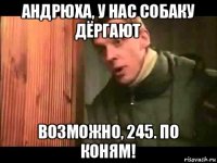 андрюха, у нас собаку дёргают возможно, 245. по коням!