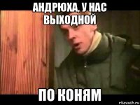 андрюха, у нас выходной по коням