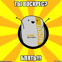 ты воскрес? блять!!!