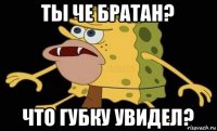 ты че братан? что губку увидел?