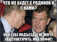 что же будет с родиной и с нами? они себе подъезды не могут заштукатурить. мне пофиг!