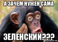 а зачем нужен сама зеленский???