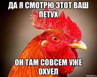 да я смотрю этот ваш петух он там совсем уже охуел