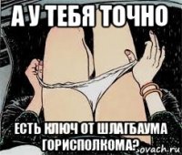 а у тебя точно есть ключ от шлагбаума горисполкома?