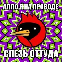 алло,я на проводе слезь оттуда