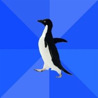 Лучшие мемы  Социально-неуклюжий пингвин