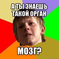 а ты знаешь такой орган мозг?