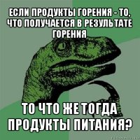 если продукты горения - то, что получается в результате горения то что же тогда продукты питания?