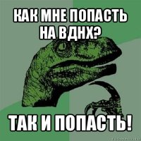 как мне попасть на вднх? так и попасть!