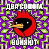 два сопога воняют