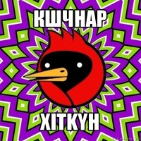 кшчнар xitkyh