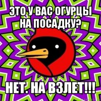 это у вас огурцы на посадку? нет. на взлет!!!