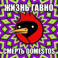 жизнь гавно смерть domestos