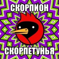 скорпион скорпетунья