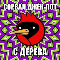 сорвал джек-пот с дерева