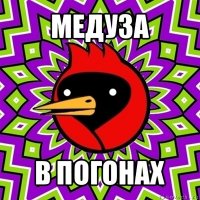 медуза в погонах