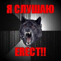 я слушаю erect!!