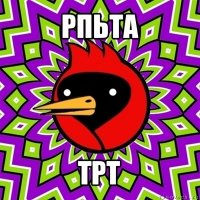 рпьта трт