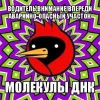 водитель,внимание!впереди аварийно-опасный участок молекулы днк