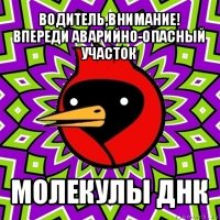 водитель,внимание! впереди аварийно-опасный участок молекулы днк