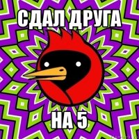 сдал друга на 5