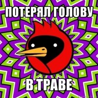 потерял голову в траве