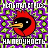 испытал стресс на прочность