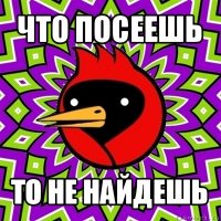 что посеешь то не найдешь