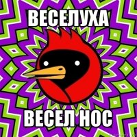 веселуха весел нос