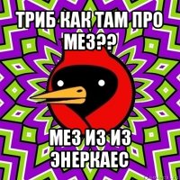 триб как там про мез?? мез из из энеркаес