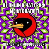 не пиши в чат гриф, меня спалят! iiikaqp#:grifooooooooon!