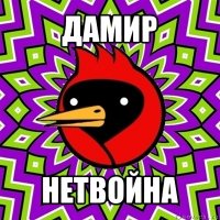 дамир нетвойна