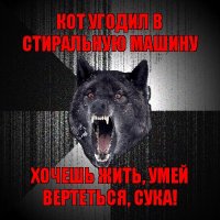 кот угодил в стиральную машину хочешь жить, умей вертеться, сука!