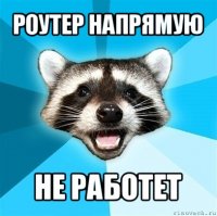 роутер напрямую не работет