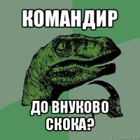 командир до внуково скока?