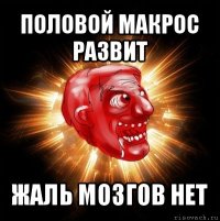 половой макрос развит жаль мозгов нет