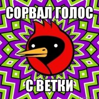 сорвал голос с ветки