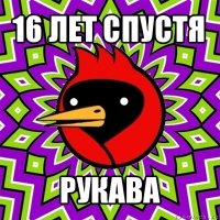 16 лет спустя рукава