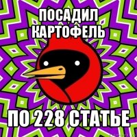 посадил картофель по 228 статье