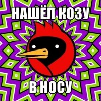 нашёл козу в носу